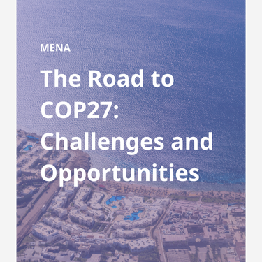 The Road to COP27: Challenges and Opportunities